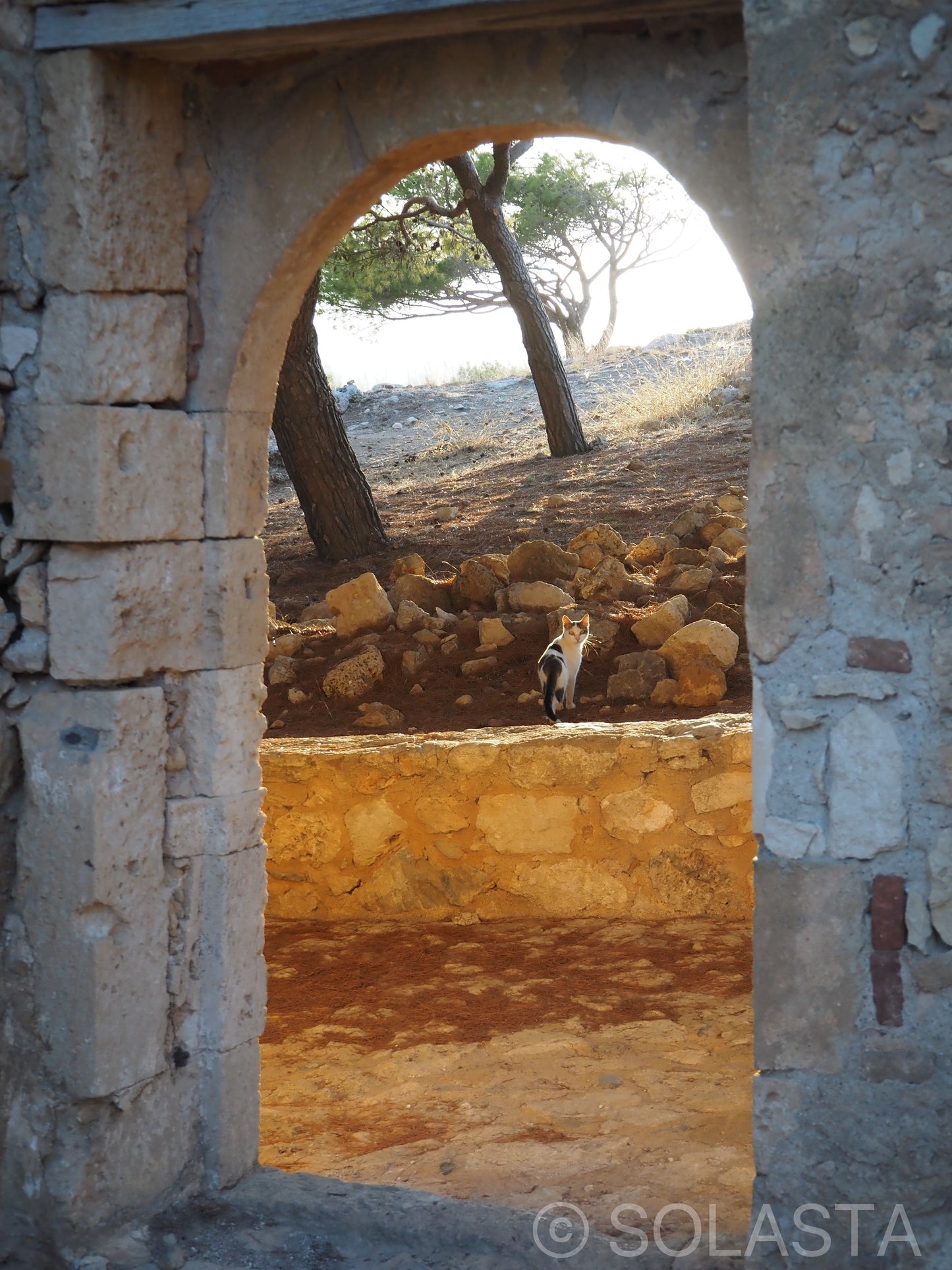 Sidus — fine art portrait print by Solasta Wear