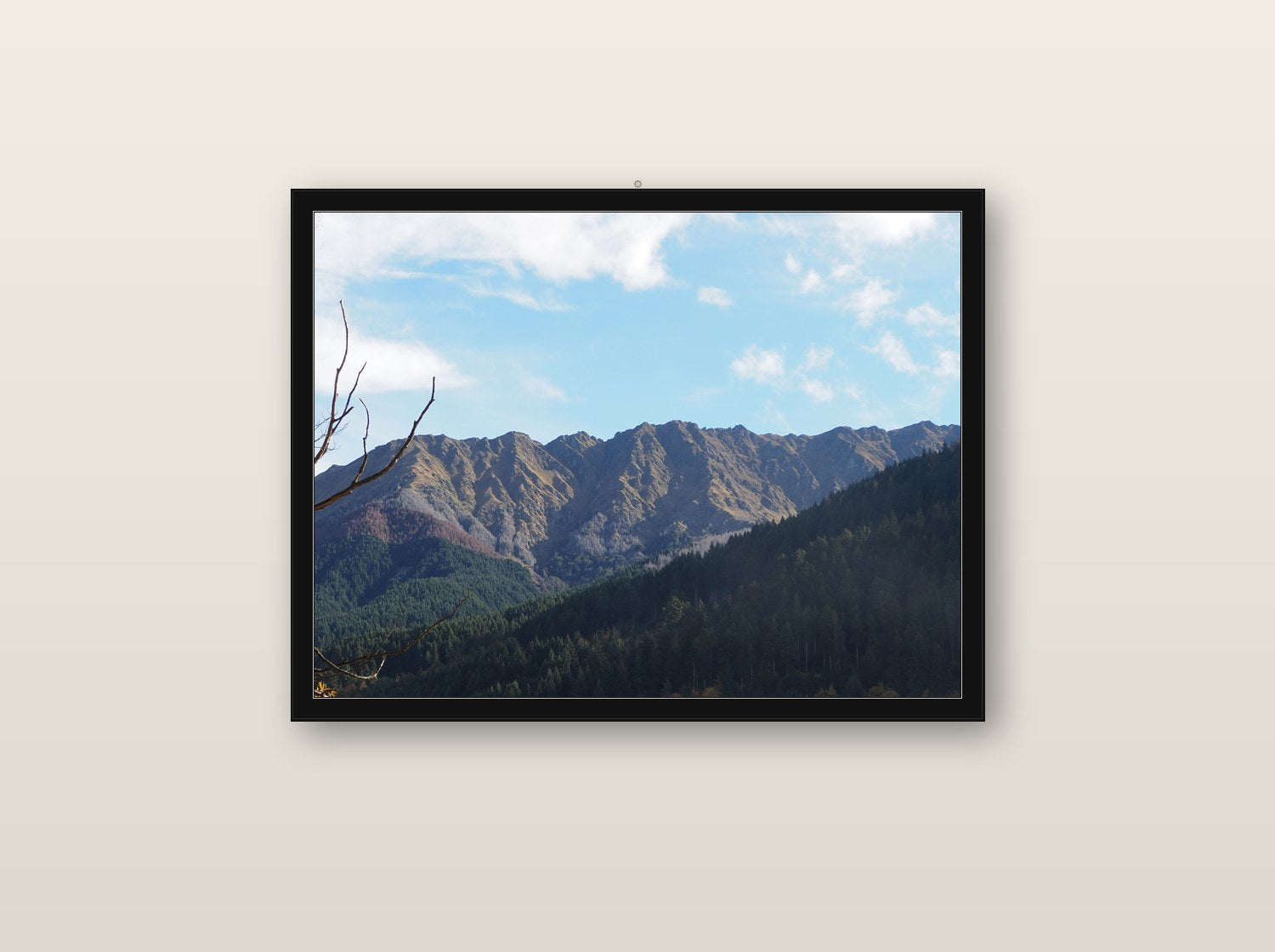 Anima fine art print in black wood frame