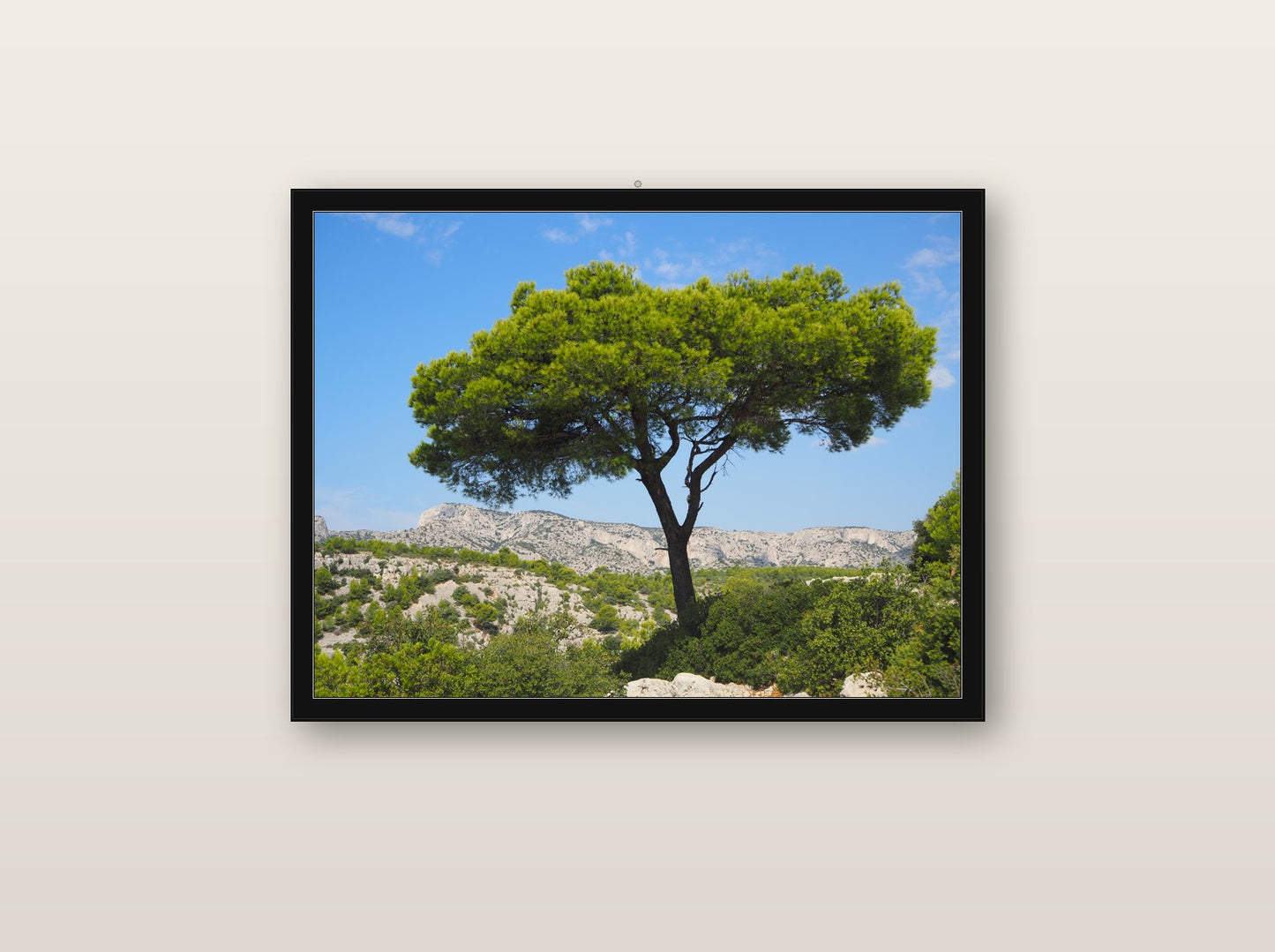 Éclat fine art print in black wood frame