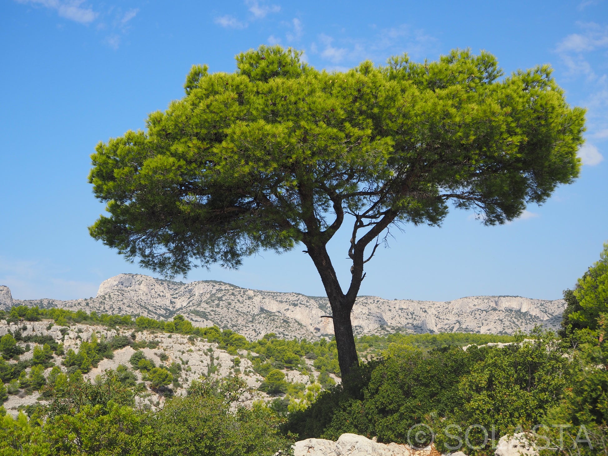 Gnosis — fine art landscape print by Solasta Wear