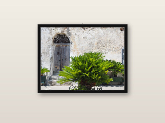 Gossamer fine art print in black wood frame