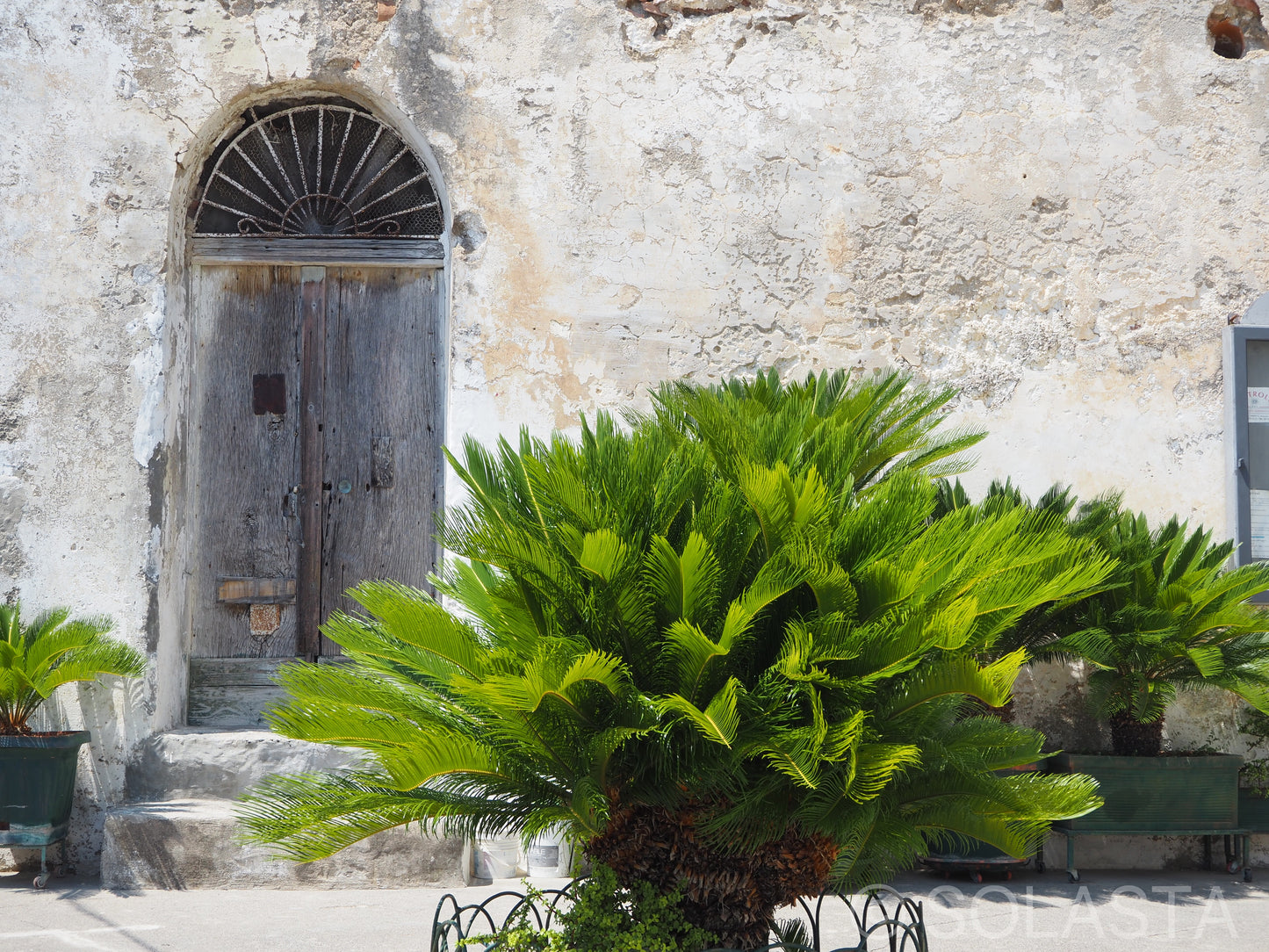 Gossamer — fine art landscape print by Solasta Wear