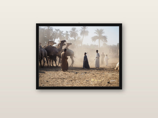 Portus fine art print in black wood frame