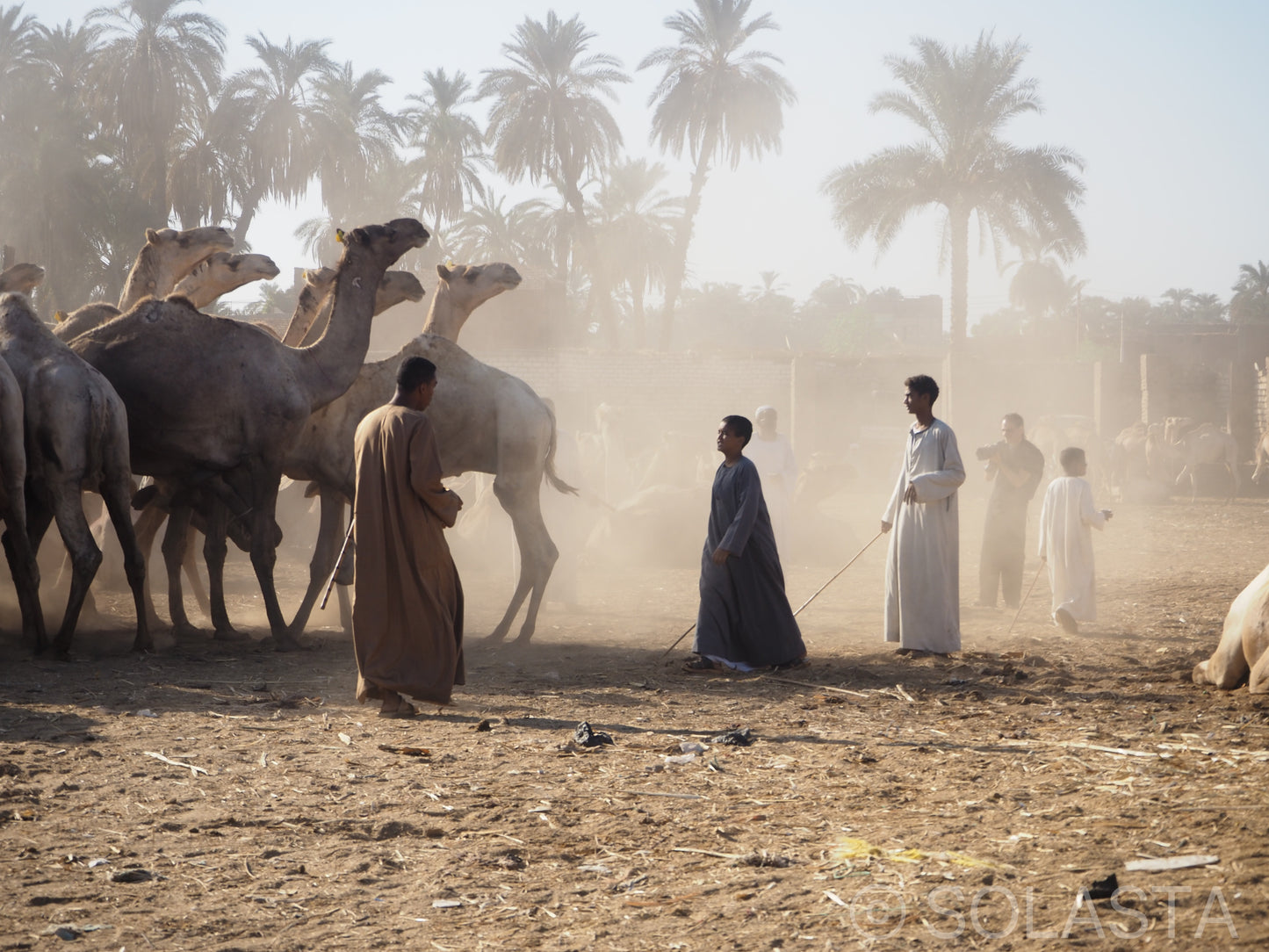 Portus — fine art landscape print by Solasta Wear