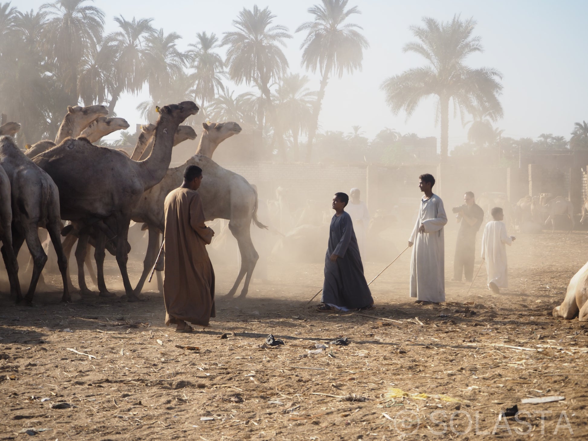 Portus — fine art landscape print by Solasta Wear