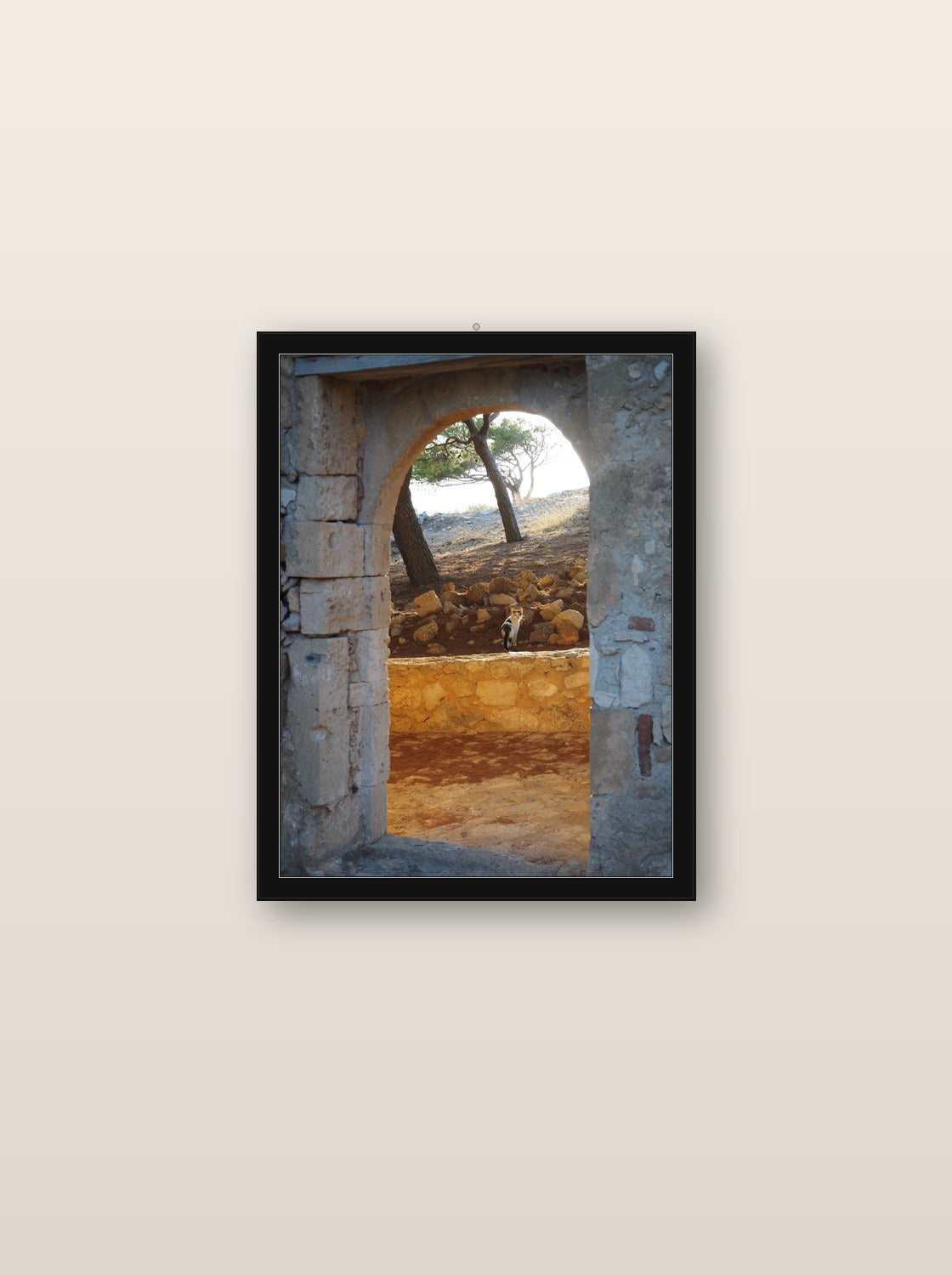 Sidus fine art print in black wood frame