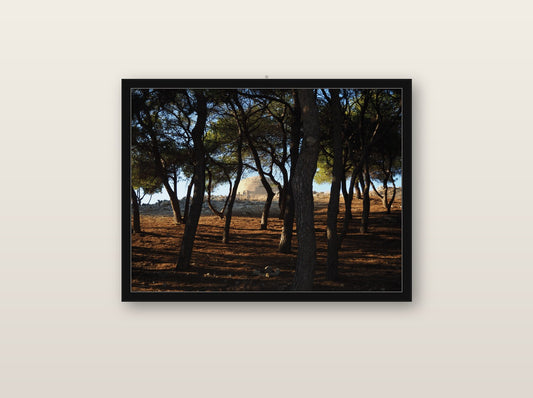 Souffle fine art print in black wood frame