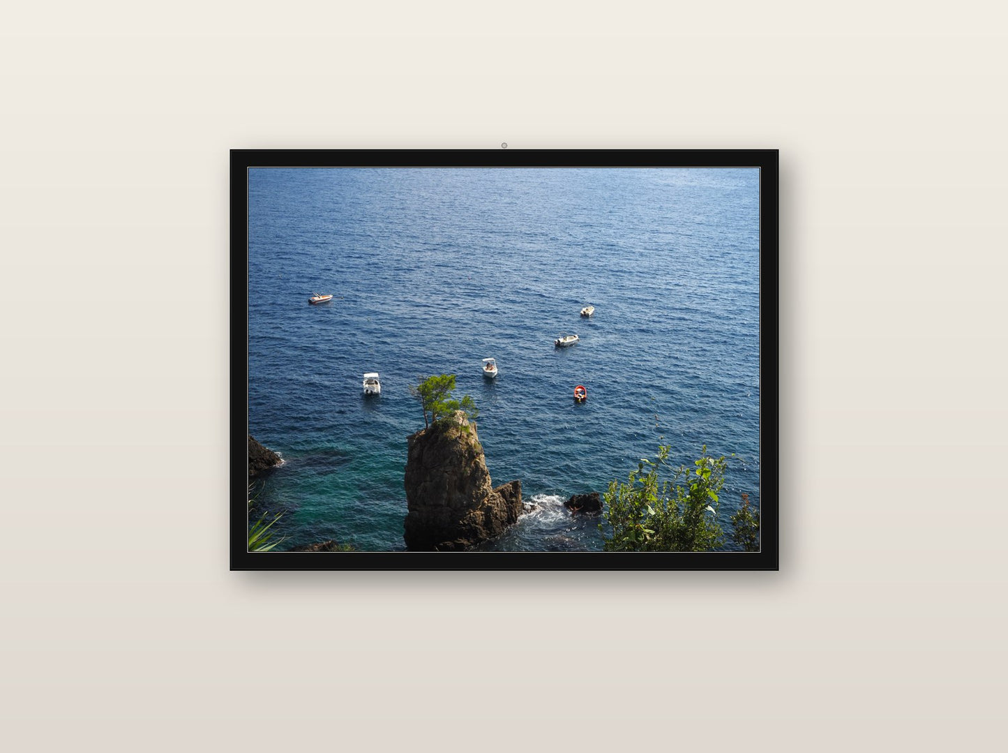 Velo fine art print in black wood frame