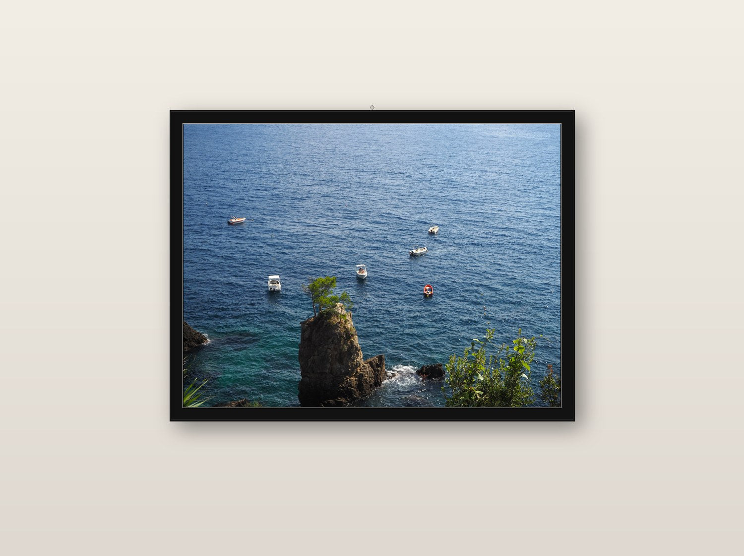 Velo fine art print in black wood frame