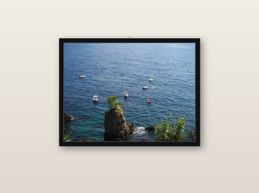 Velo fine art print in black wood frame